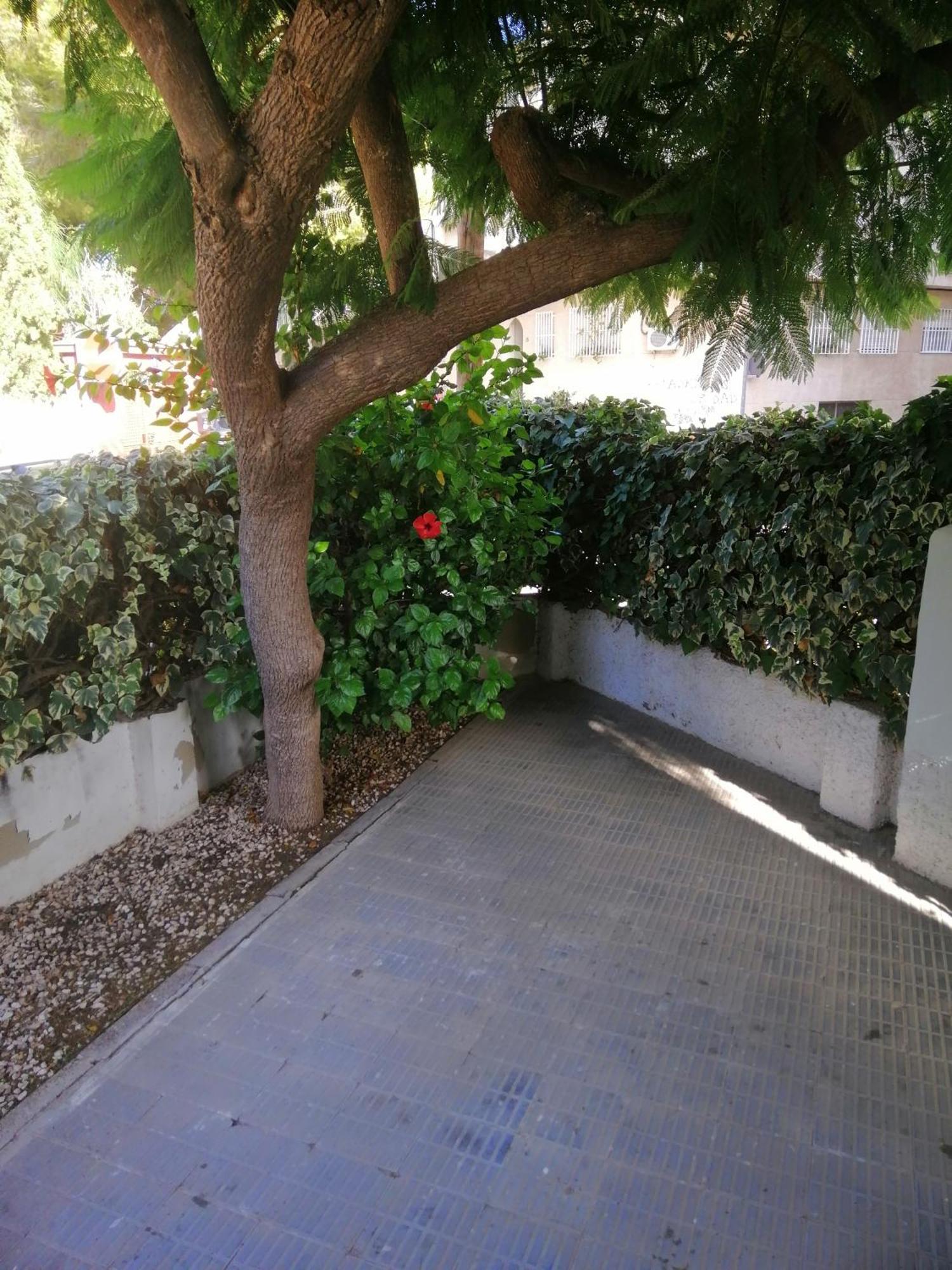 Chalet II con jardín y wifi en la playa San Pedro del Pinatar Exterior foto